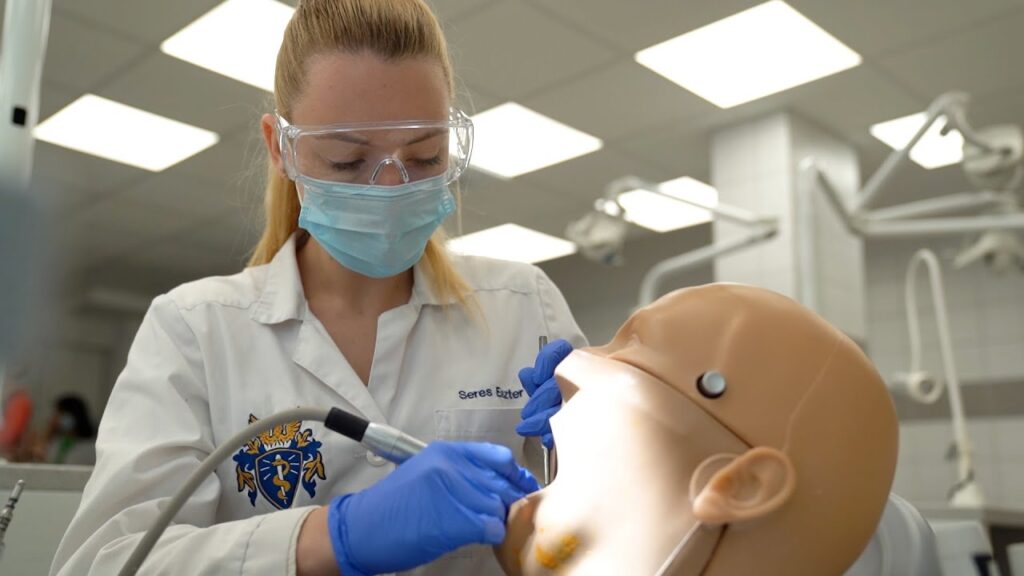 Study Dentistry in Europe