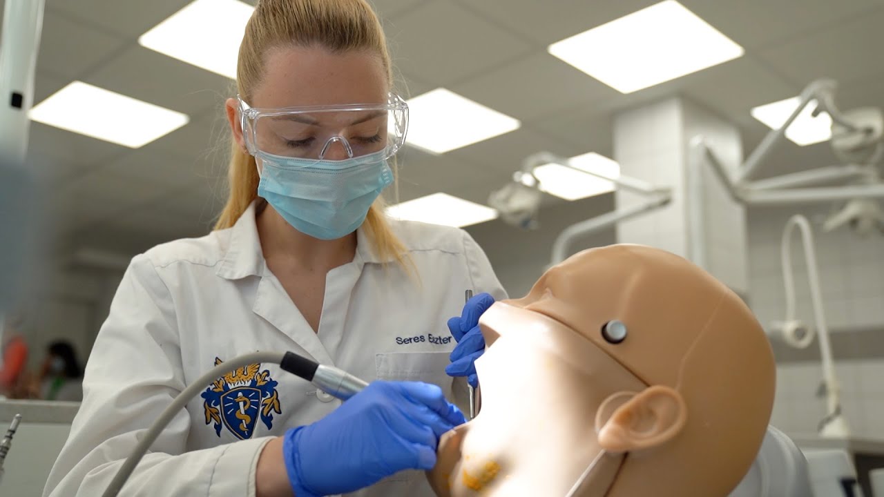 Study Dentistry in Europe